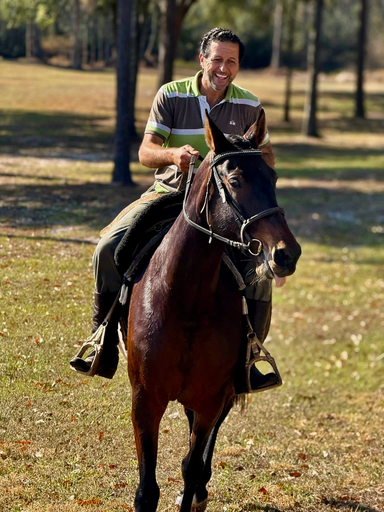 Tom working with a brown horse