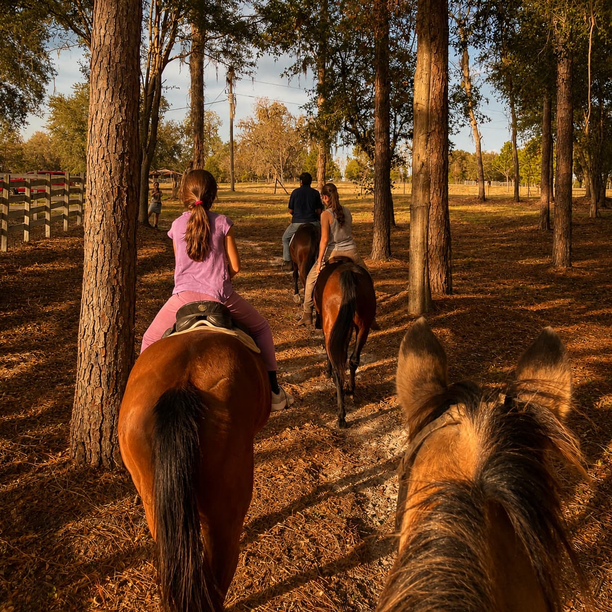 Riders moving through a wooded ranch trail