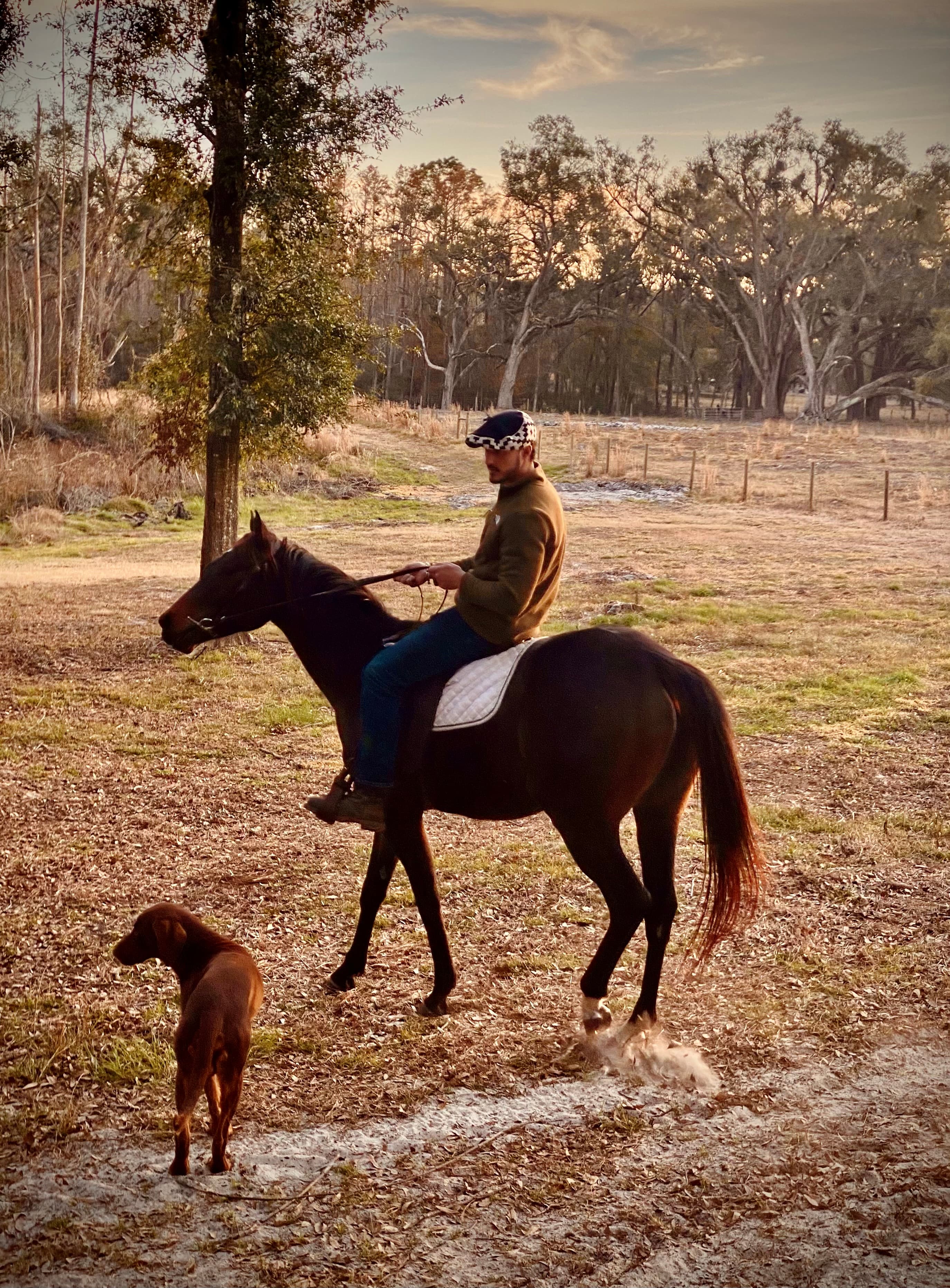 Riders exploring a wooded ranch trail